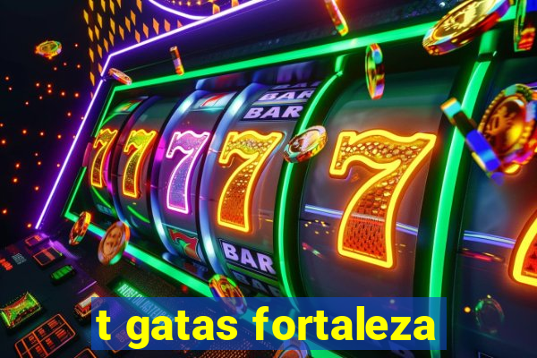 t gatas fortaleza